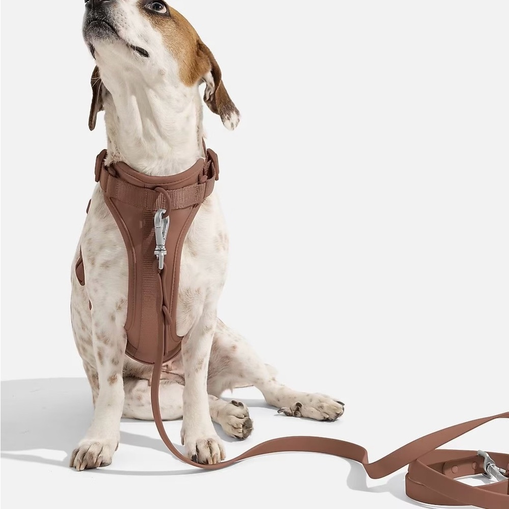 Wild One Dog Harness and Leash Set - Cocoa - size Medium & Standard